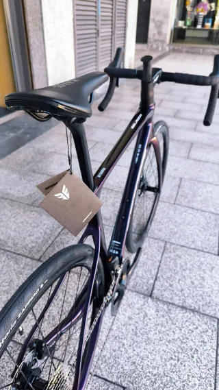 BERRIA BELADOR ESSENTIAL Di2