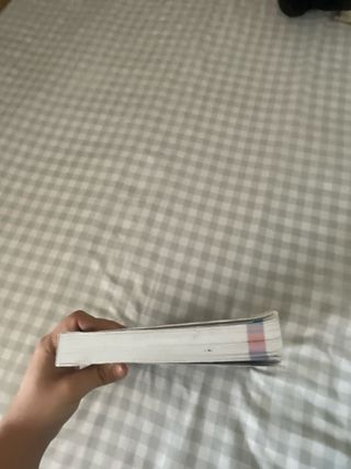 IB MATHEMATICS:APPL.....STAND.-TEXT