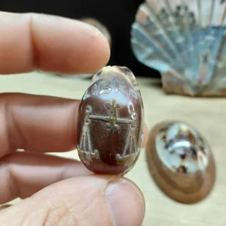 Collezione conchiglie decorate vintage