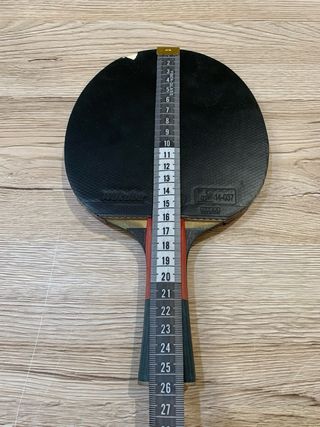 Pala Ping Pong Butterfly ZJ X6