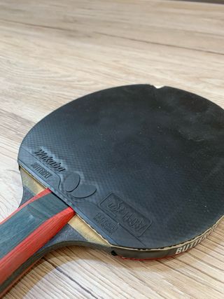 Pala Ping Pong Butterfly ZJ X6