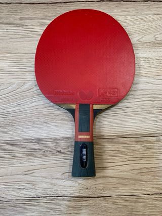 Pala Ping Pong Butterfly ZJ X6