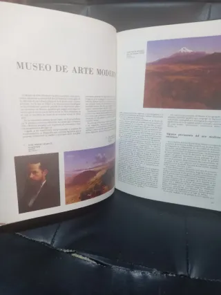 La pintura en los museos de México