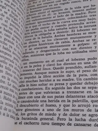 Libro colmillo blanco