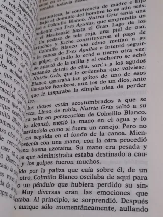 Libro colmillo blanco