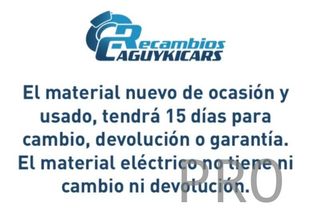 Tulipa Lancia y 10 LLA071 nuevo