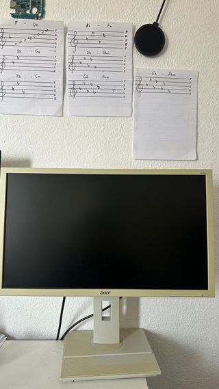 Monitor Acer Beige B246HL