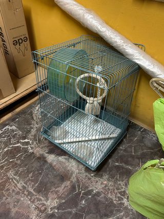 Jaula para mascotas color turquesa