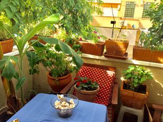 PISO EN TOMARES (SEVILLA) – COPA DEL REY