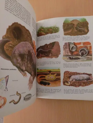 Vida íntima de los animales de la casa y del ja...