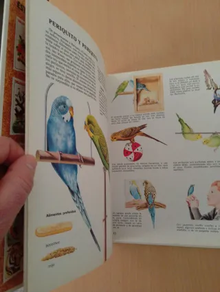 Vida íntima de los animales de la casa y del ja...