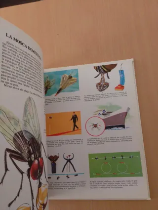 Vida íntima de los animales de la casa y del ja...