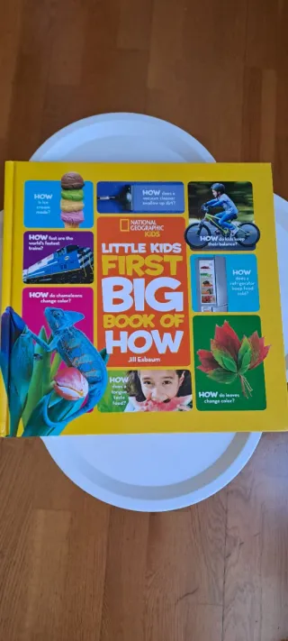 Little Kids First Big Book of How