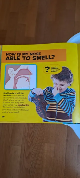 Little Kids First Big Book of How