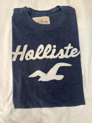 Camiseta Hollister azul con logo de ave
