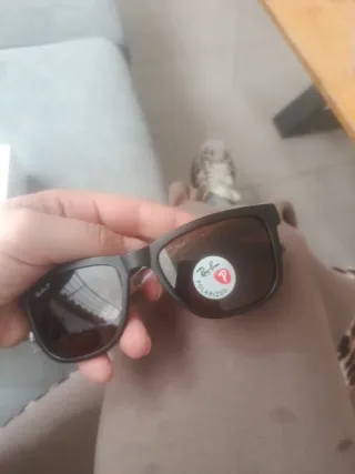 Gafas de sol Ray-Ban Marrones Polarizadas