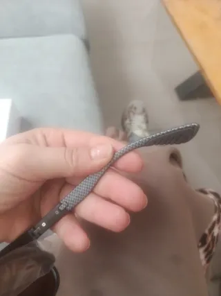 Gafas de sol Ray-Ban Marrones Polarizadas