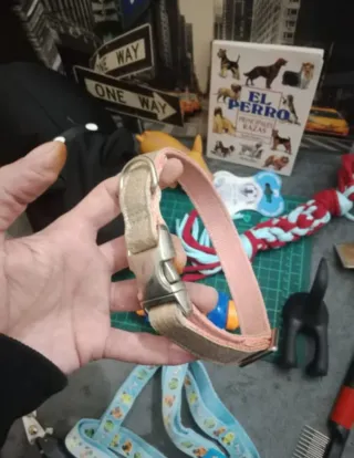 Lote Accesorios Perro: Collar, Arnés, Juguetes