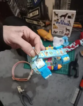 Lote Accesorios Perro: Collar, Arnés, Juguetes