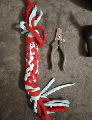 Lote Accesorios Perro: Collar, Arnés, Juguetes