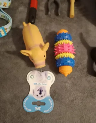 Lote Accesorios Perro: Collar, Arnés, Juguetes