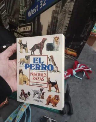 Lote Accesorios Perro: Collar, Arnés, Juguetes