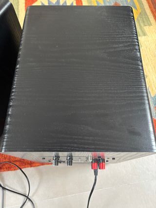 Pareja Subwoofers Magnat 8 Cine/Música