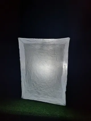 Softbox Neewer 50x70 cm con bolsa de transporte
