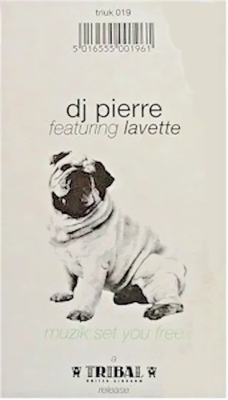 DJ Pierre feat. Lavette Muzik Set You Free 12"
