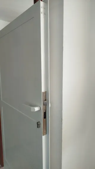 Puerta blanca de aluminio (sin Marco)
