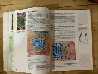 Código Bruño Biología 2 Bachillerato