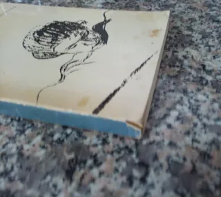 L'invenzione di A Vigevani editrice Vallecchi 1970