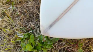 Tabla Surf Fish 5'8 Twin Fin