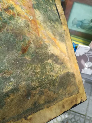 Cuadro Pintura Paisaje Andino