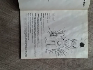 Albi a fumetti "Petra Cherie" n.1 e n.2 - 1980