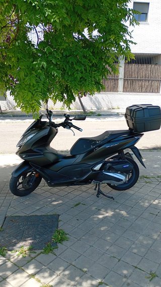 Honda PCX 125cc 2024 en Alquiler
