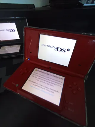 Lote Nintendo DS y DSi