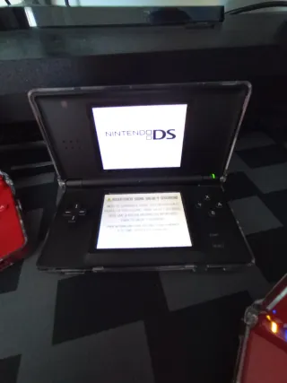 Lote Nintendo DS y DSi