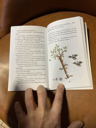 La scimmietta Gratta Gratta e altre storielle