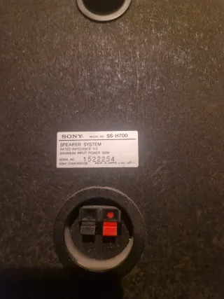 Altavoces Sony Negros