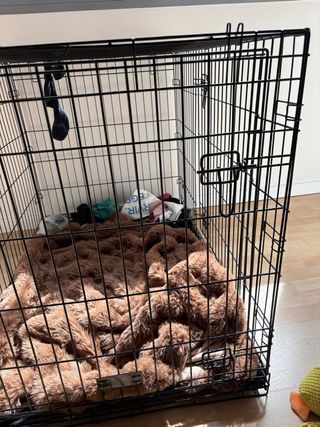 Jaula Adiestramiento Perro en perfecto estado.