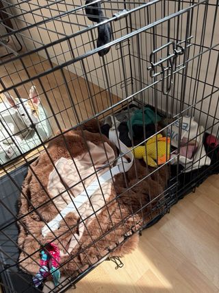 Jaula Adiestramiento Perro en perfecto estado.