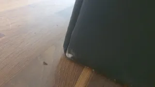 Sofá Chester Negro Piel