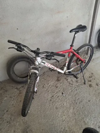 Bicicleta Conor Adulto