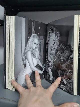 Cómo hacer el amor igual que una estrella del p...