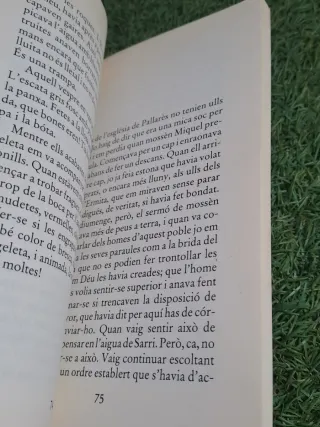 Pedra de tartera (butxaca)