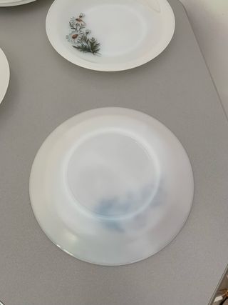 Set 8 Piatti Arcopal Vintage Fiori Bianchi