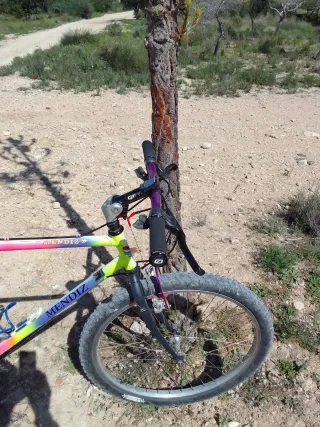 Bicicleta Mendiz Montaña