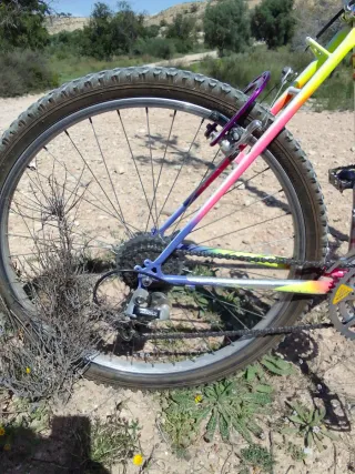 Bicicleta Mendiz Montaña