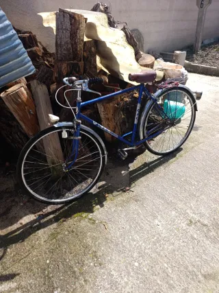 Bicicleta Clásica Azul